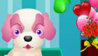 Cute Pet Puppy Dog Game