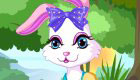 Cute Animal Game for Girls 