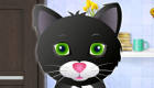 Free Online Cat Game