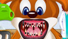Animal Dentist