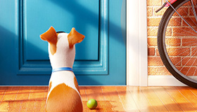 Hidden Objects in The Secret Life of Pets