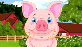 Baby Pig 