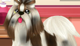 Paws 2 Beauty